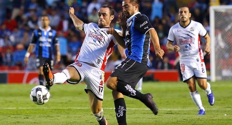 Lobos vs Gallos: los visitantes buscan su primer triunfo del torneo