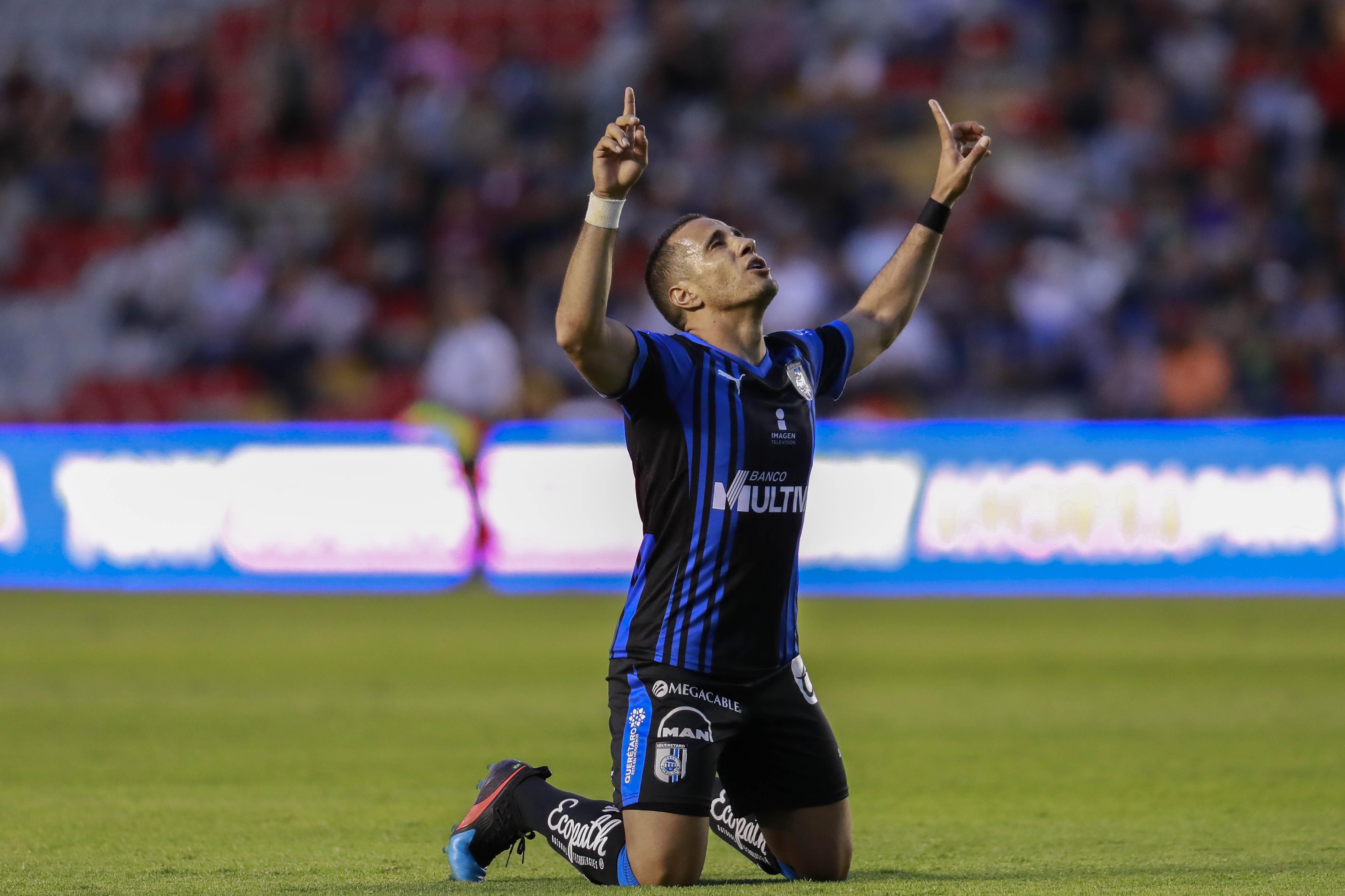 El Gallo canta y revive