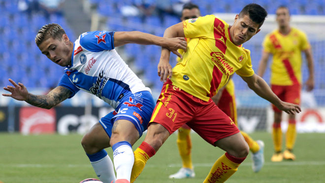 Puebla y Monarcas, distintas realidades