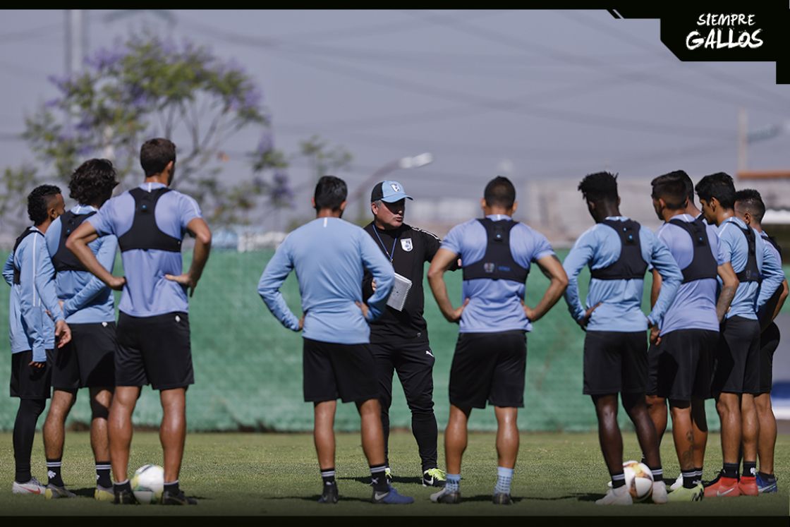 Gallos Blancos arranca pretemporada