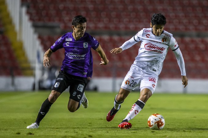 Previa Xolos vs Gallos de Querétaro: a evitar que se escape la Liguilla