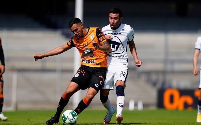 Se aferran a la liguilla