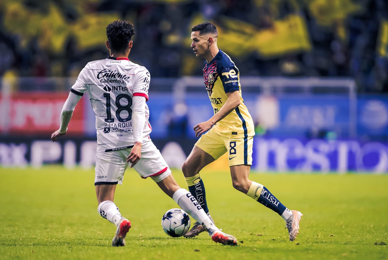 Mazazo del Zorro al Águila